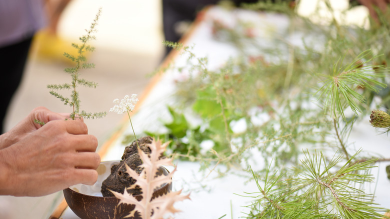 Person making ikebana arrangement with foraged materials.