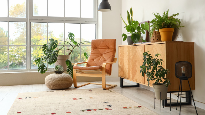 Natural lagom living space with live plants, natural fibres and earthy colors
