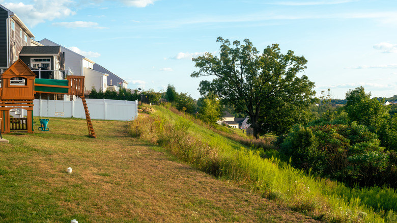 A very sloped backyard with foliage running down the hill