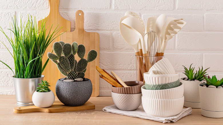 kitchen worktop filled with plants and crockery