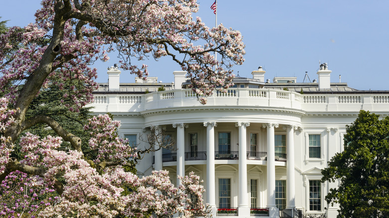 The White House