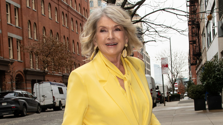 Martha Stewart in New York