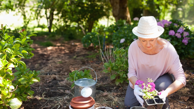 A woman in a white hat adding new plants to her shaded garden
