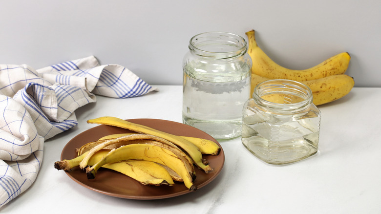 Bananas, banana peels, jars of water, and a towel on a white counter