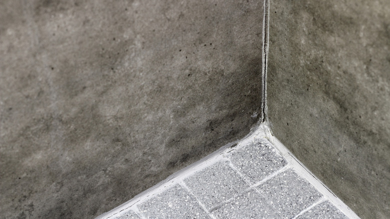 Chipped bathroom grout