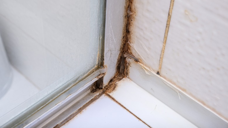 dirty shower door tracks