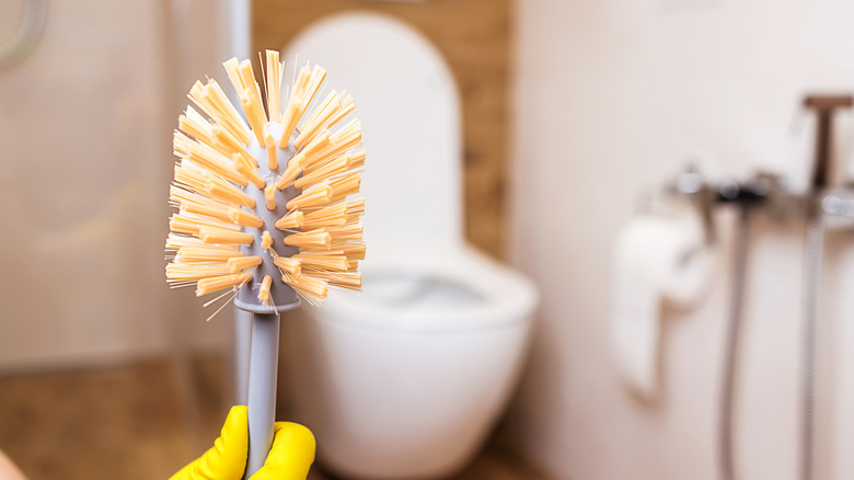Person holding toilet brush