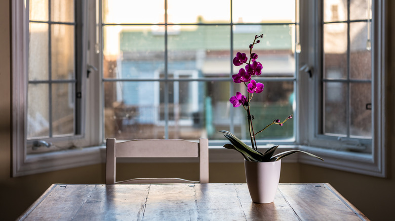Wooden table in front of a bay window