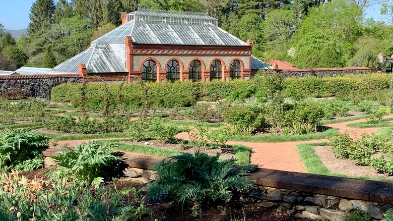 The Biltmore conservatory surrounded by beautiful landscaping