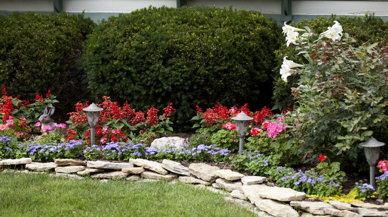 A pretty flower garden with brightly colored blooms, ground covers and hedges at the back