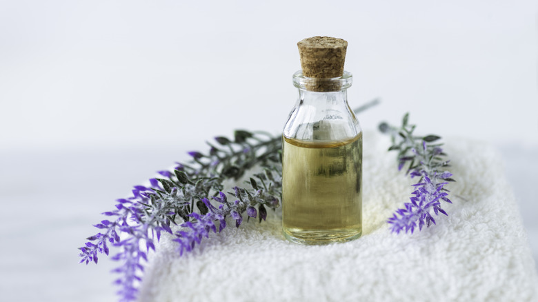 lavender oil