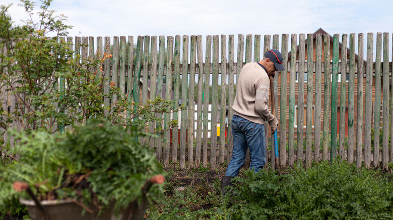 A man doing gardening work along a fence line