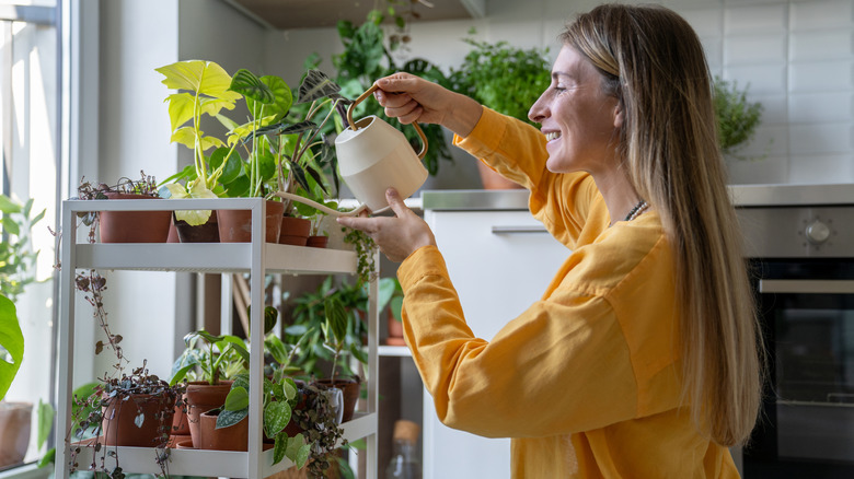 Smiling woman cares for her houseplants.