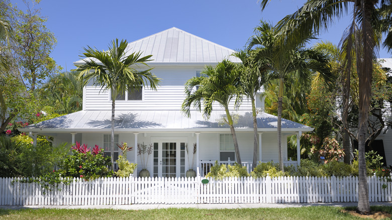 Plants around white home