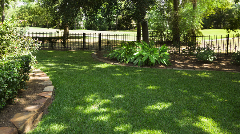 shaded backyard grassy area