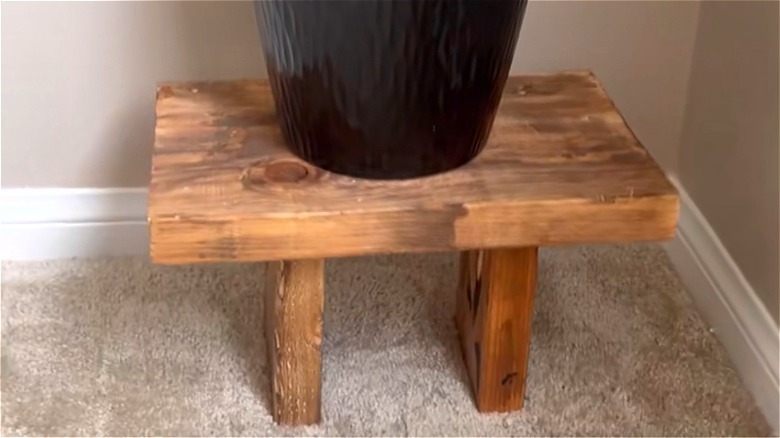 A money tree in a black pot sits atop a DIY wooden plant stand.