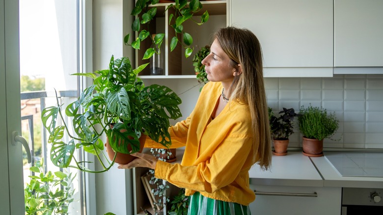 A woman holding a potted houseplant while standing near kitchen window.