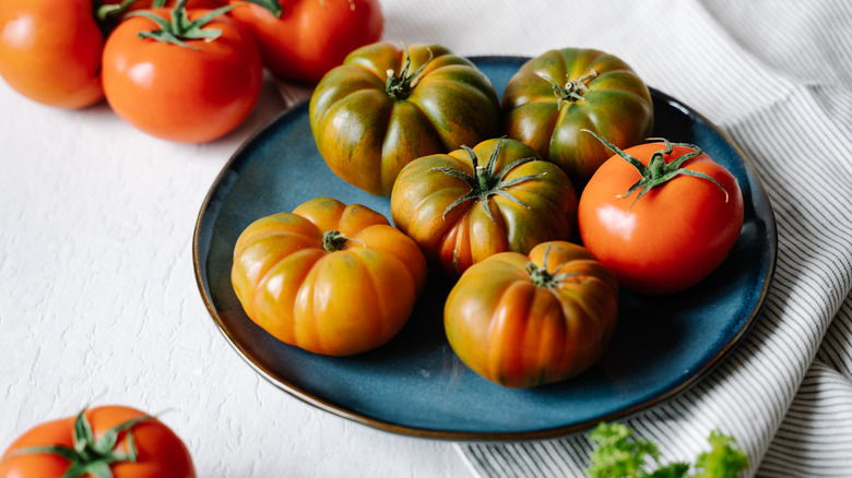 Ripe tomatoes on a plate, some of which are slightly green