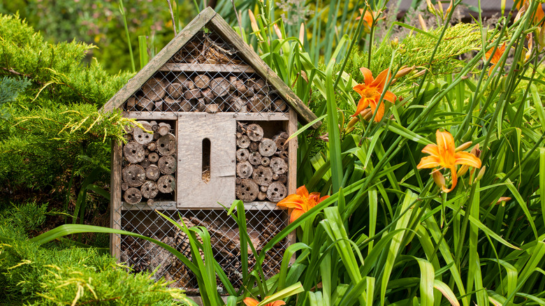 bee house in flowers