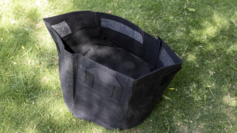 fabric grow bag