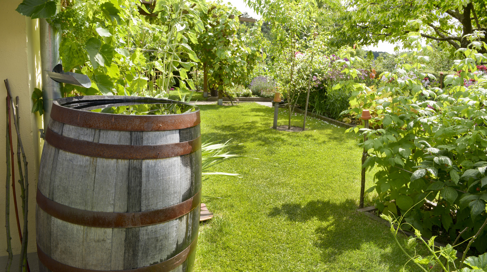 The Benefits Of Using Rainwater To Water Your Grass
