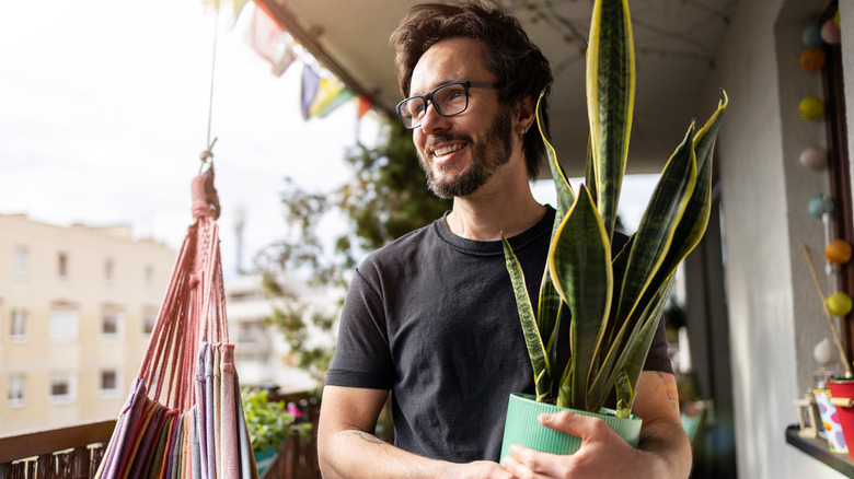 bearded man carrying plant