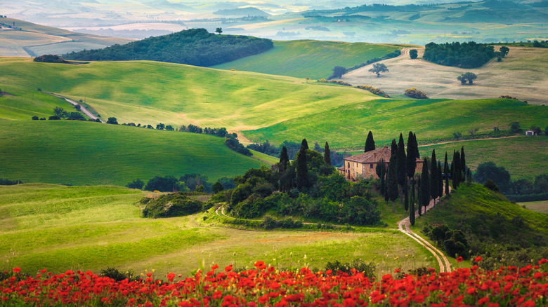 Tuscan villa in the countryside 