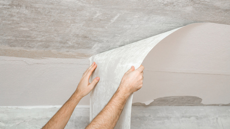 Young adult man tearing off old white wallpaper from ceiling.