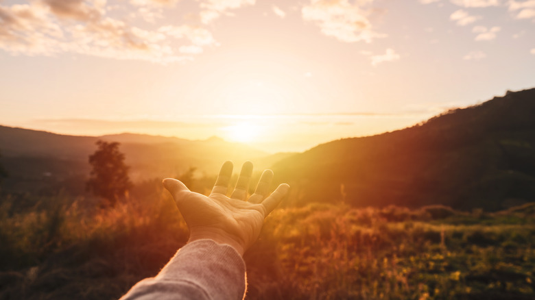 hand reaching for sunlight