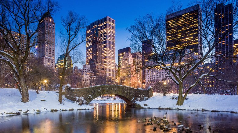Central Park, NY in snow