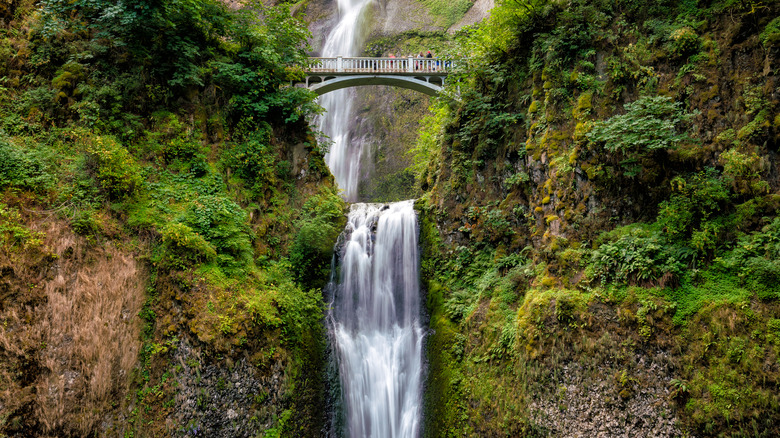 waterfall with bridge