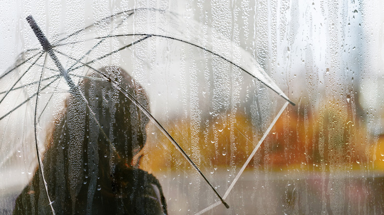 umbrella on a rainy day