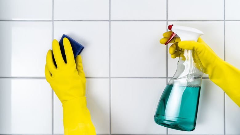 gloved hands with grout cleaner and sponge