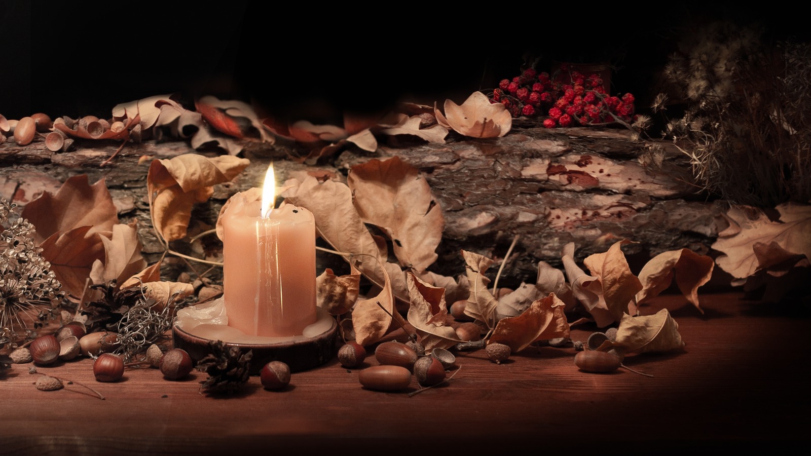 The Best Color Palette For A Witchy Home Decor Aesthetic