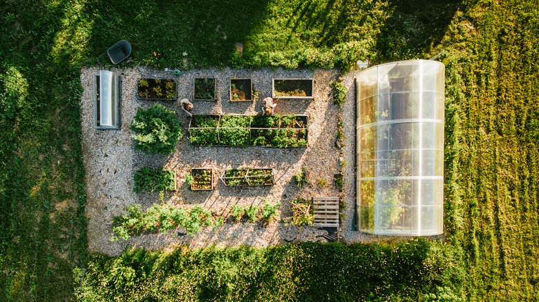 Two women gardening in their yard as shown in aerial view