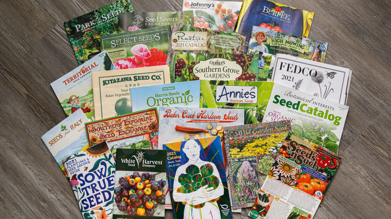 seed catalogs