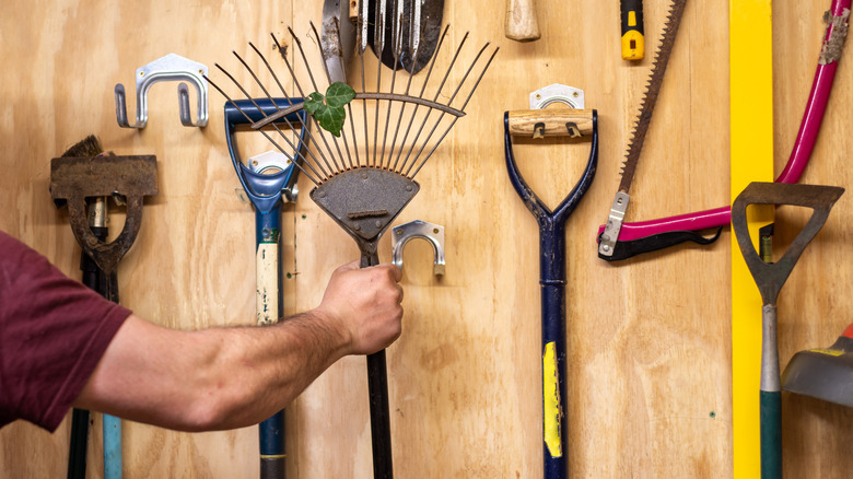 Man removing rake from shed wall storage