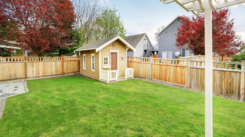 Small backyard wooden shed