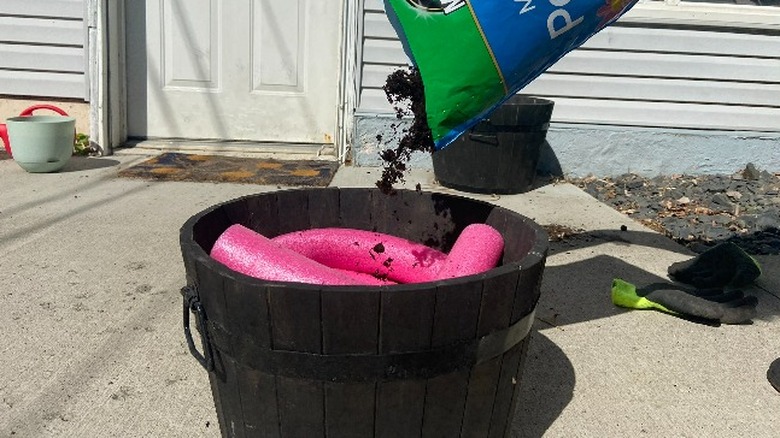 Pool noodles in planter