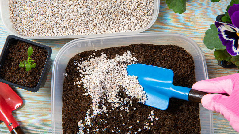 Mixing perlite into soil