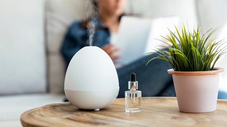 oil diffuser next to plant