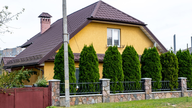 A yellow house with tall hedges and a steep brown roof.