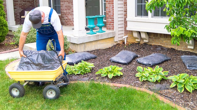 Loading garden cart with mulch