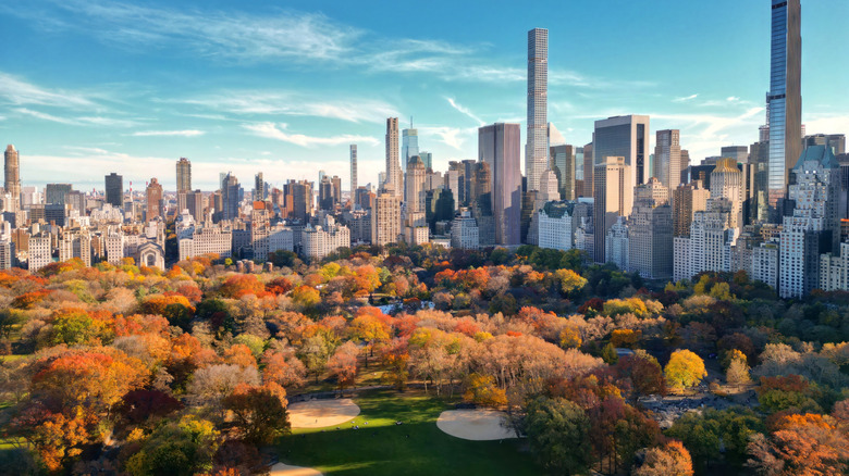 An ariel shot of Central Park in New York City