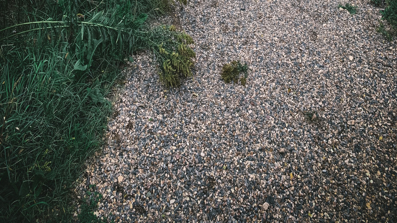 Pea gravel path