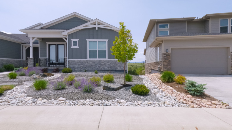 Dry, sunny front yard of a suburban home, with small bushes and grouncovers, mulched with stones and gravel.