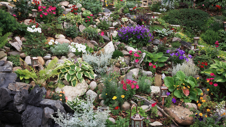A beautiful perennial garden planted on a slope with rocks