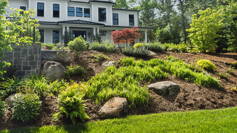 Freshly mulched and weeded hillside flower beds beneath a house
