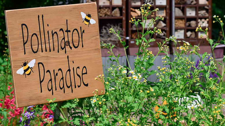 Pollinator Paradise sign in a garden with flowers and insect hotel in the background