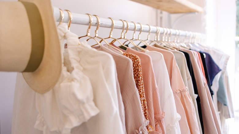 Closet organized by hangers